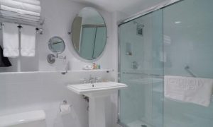 Garden City Hotel Conversion From Tub to Custom Built Shower